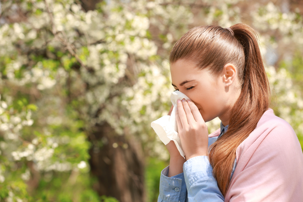 Seasonal Allergy Support at Your Local Pharmacy