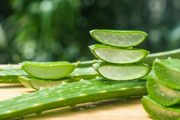 Talk to your local PharmaChoice pharmacist to learn more about aloe vera gel.