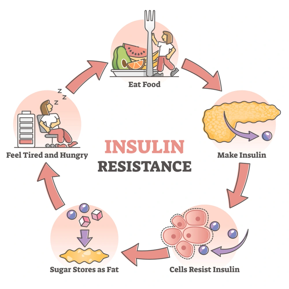 Learn more about how insulin works, and what happens when you're insulin resistant. Talk to your local pharmacist to learn more.