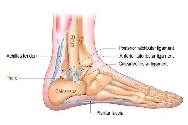 Learn more about treating plantar fasciitis at your local pharmacy.